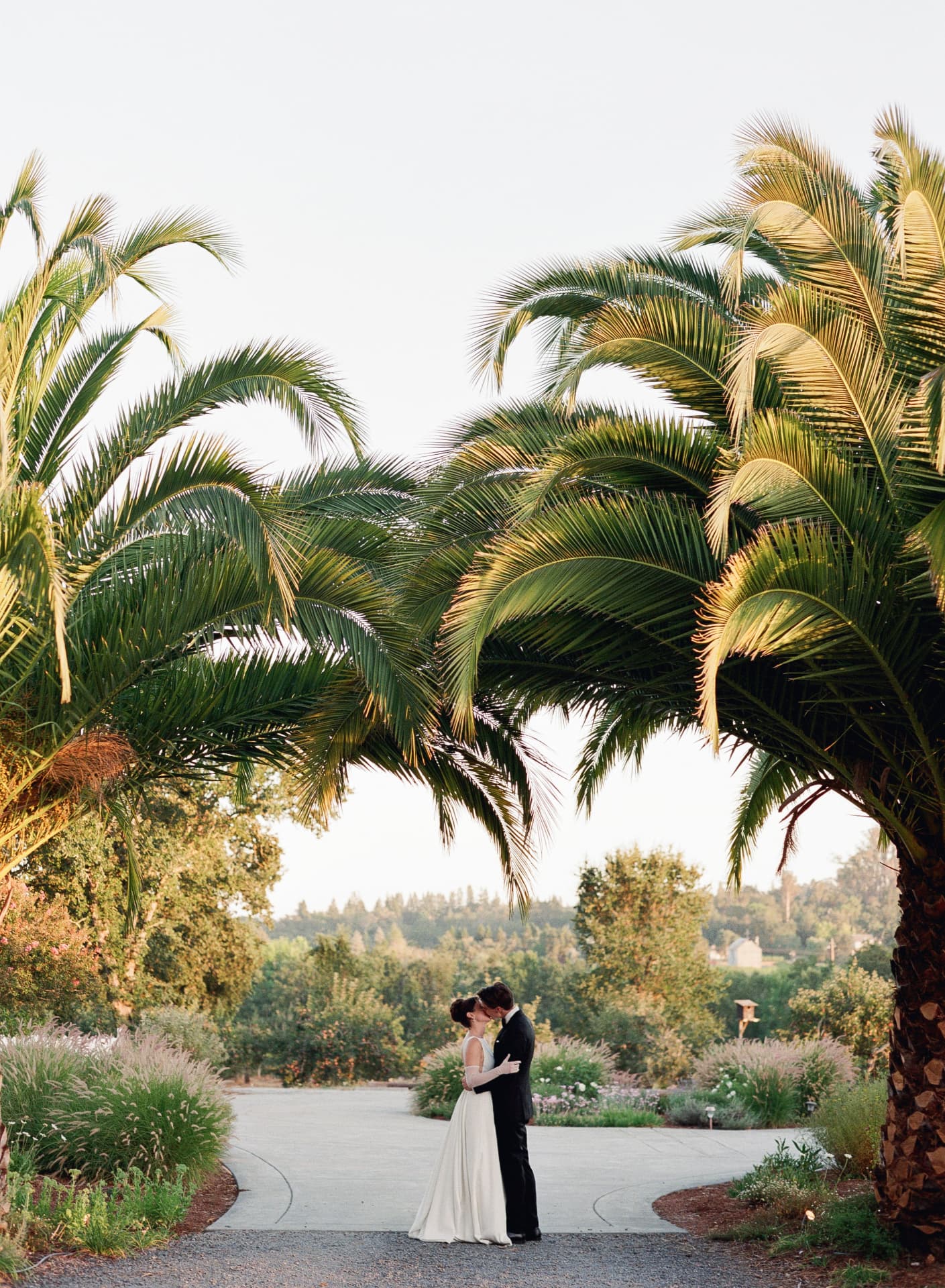Bride and groom kissing beneath towering palms at golden hour